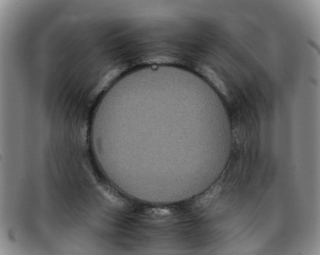 X0000097460159200803141859