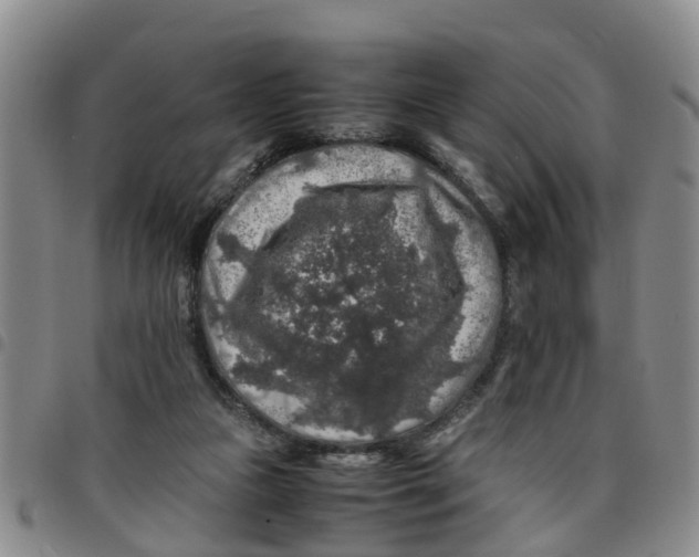 X0000097460161200803141859