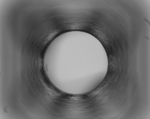 X0000097460164200803141859