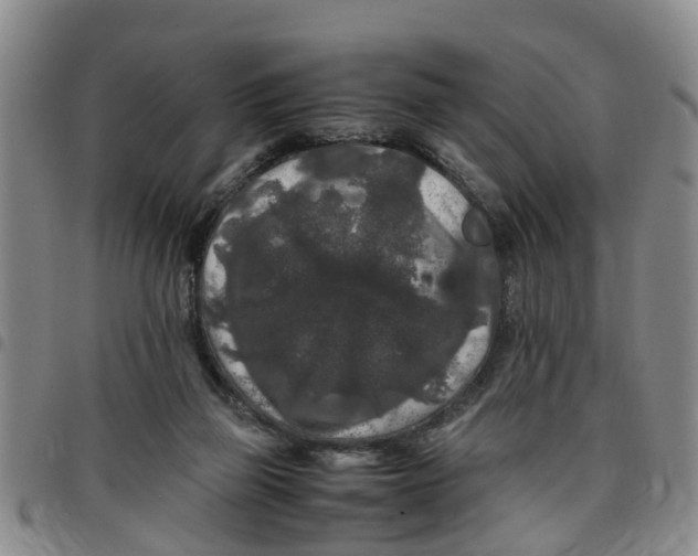 X0000097460165200803141859