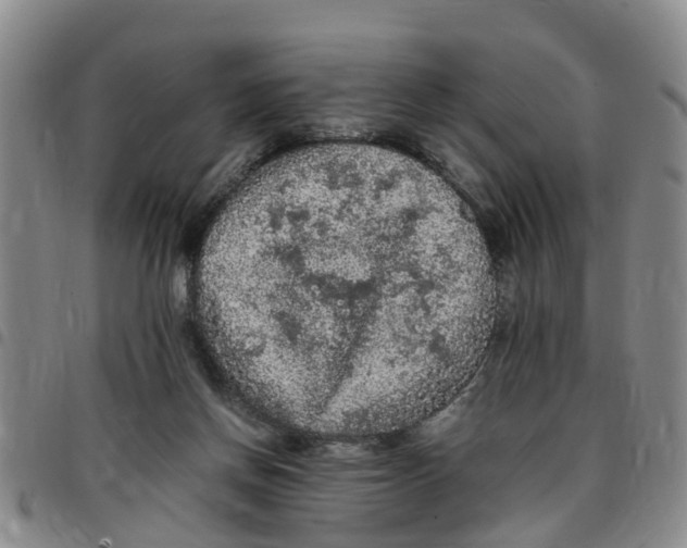 X0000097460166200803141859