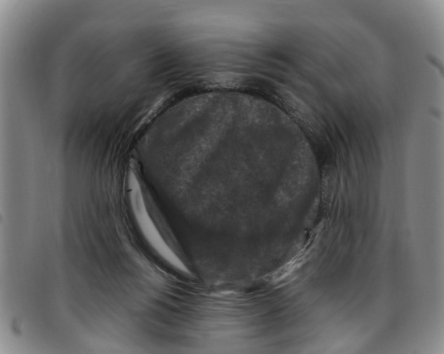 X0000097460168200803141859