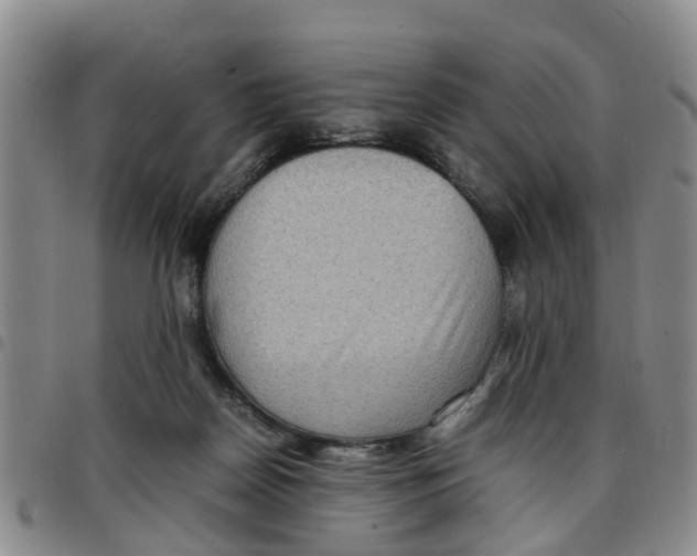 X0000097460170200803141859