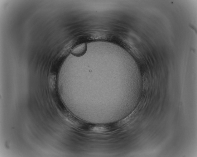 X0000097460171200803141859