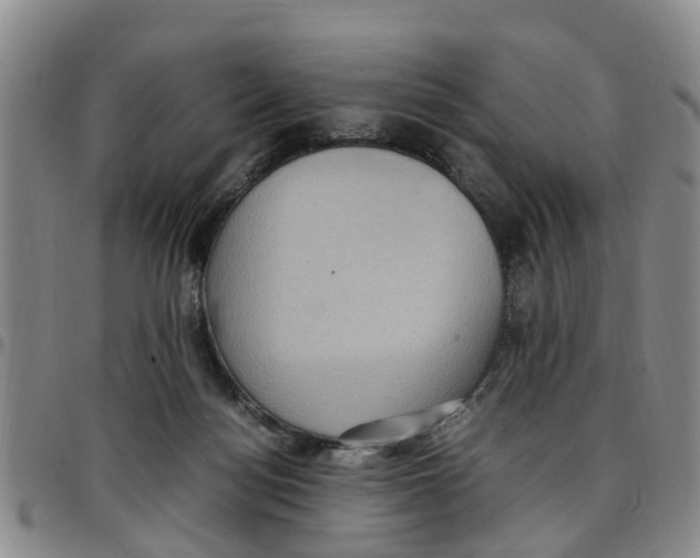 X0000097460172200803141859