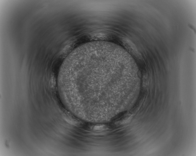 X0000097460173200803141859