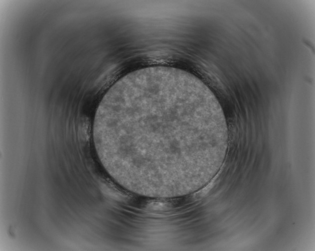 X0000097460174200803141859