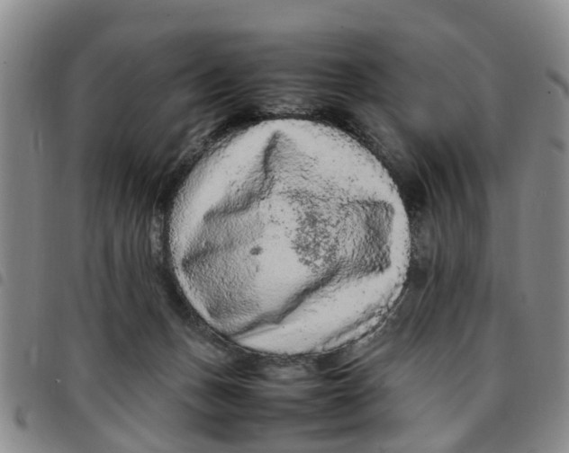 X0000097460175200803141859