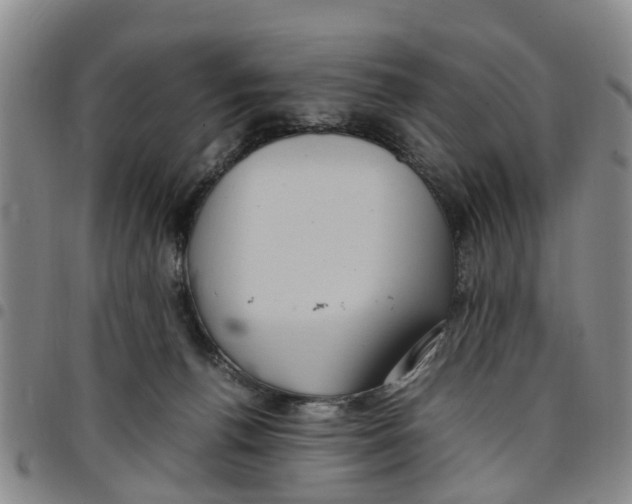 X0000097460176200803141859