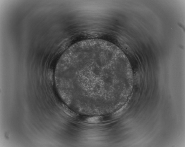 X0000097460178200803141859