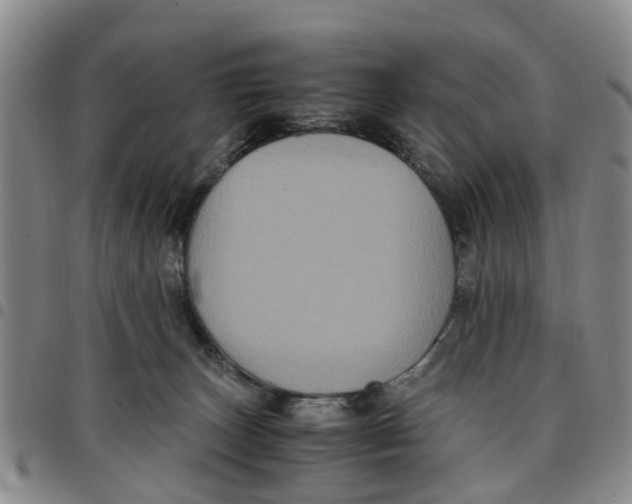 X0000097460179200803141859