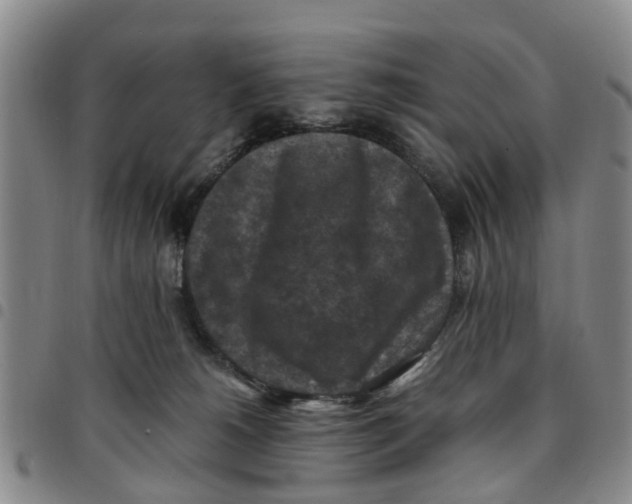 X0000097460180200803141859