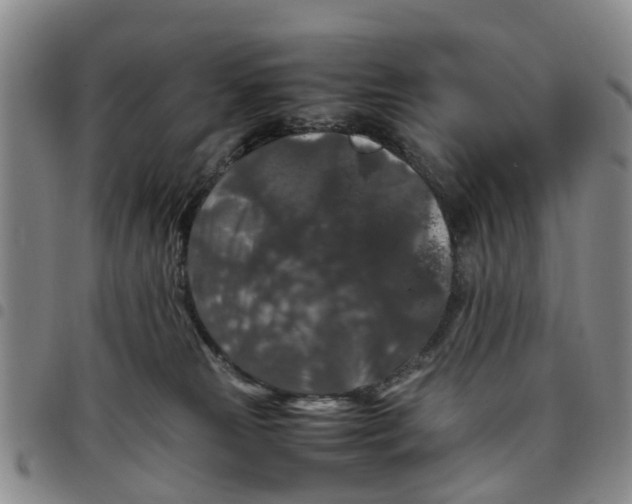 X0000097460181200803141859