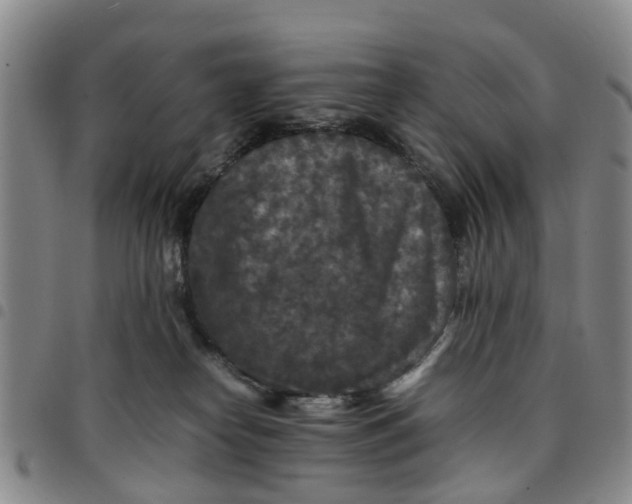 X0000097460182200803141859