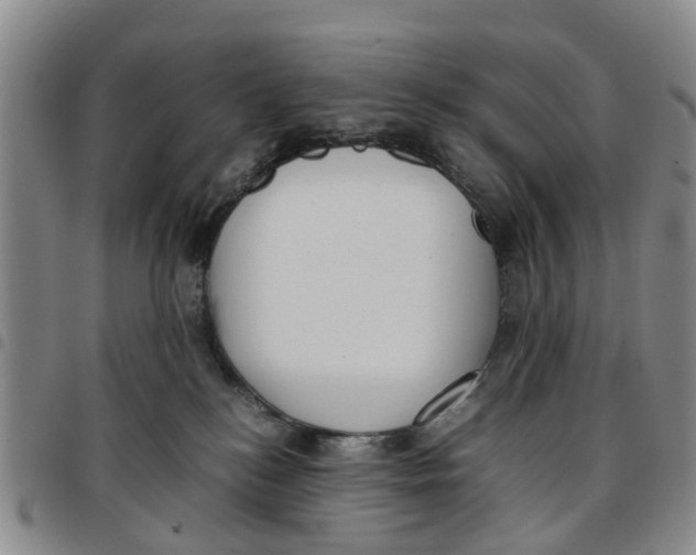 X0000097460184200803141859