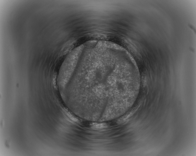 X0000097460185200803141859