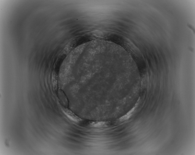 X0000097460186200803141859