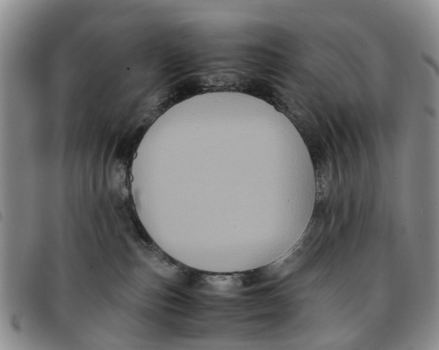 X0000097460187200803141859