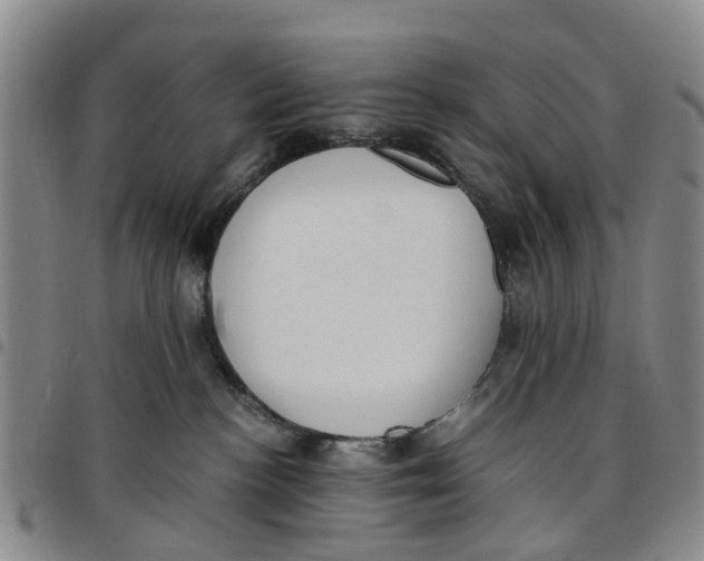 X0000097460188200803141859