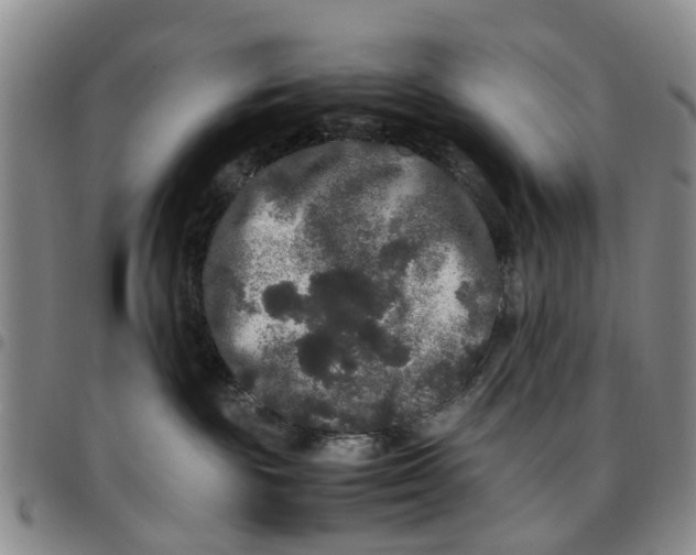 X0000097460189200803141859