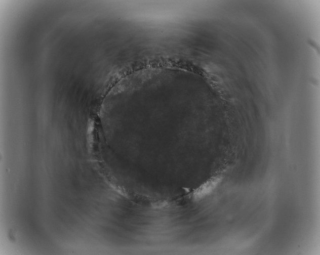 X0000097460192200803141900