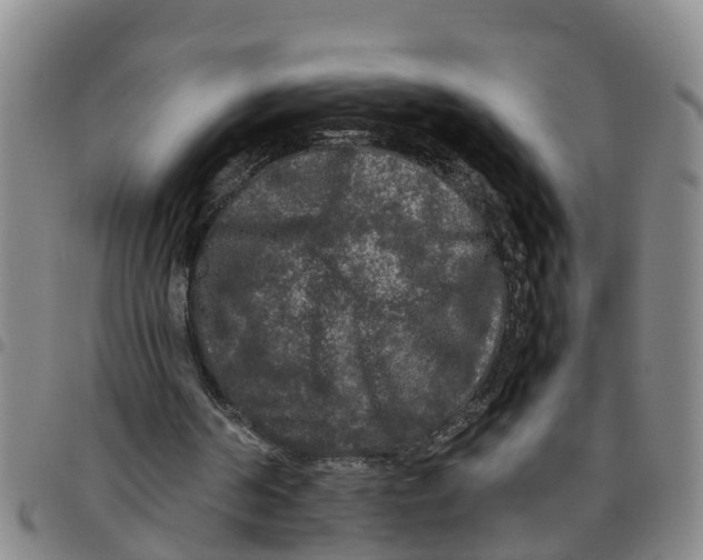 X0000097460194200803141859