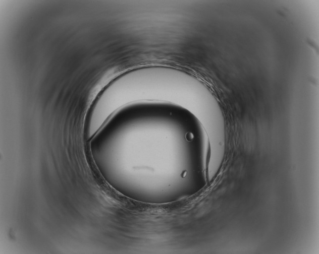 X0000097460195200803141859