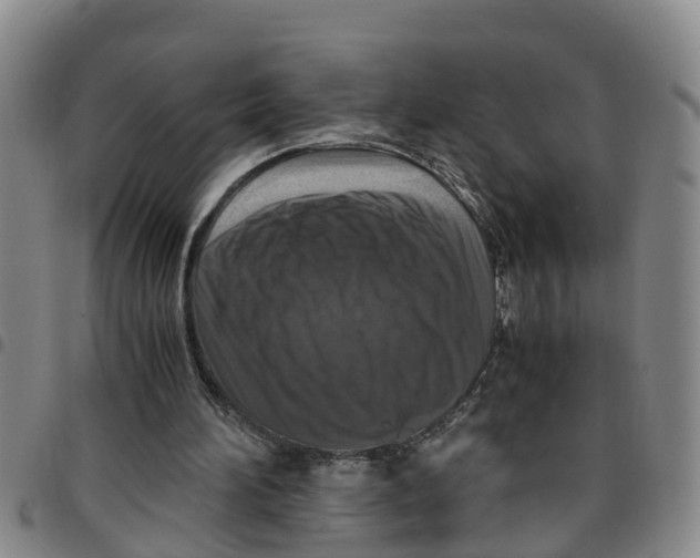 X0000097460196200803141859