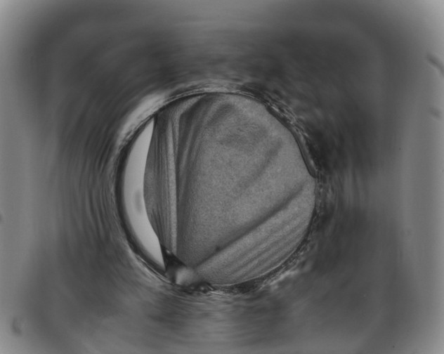 X0000097460197200803141859