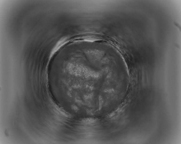 X0000097460198200803141859