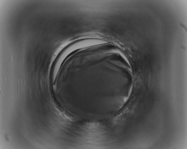 X0000097460200200803141859