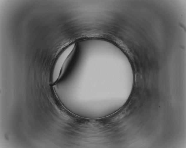 X0000097460201200803141859