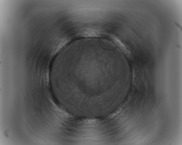 X0000097460202200803141859