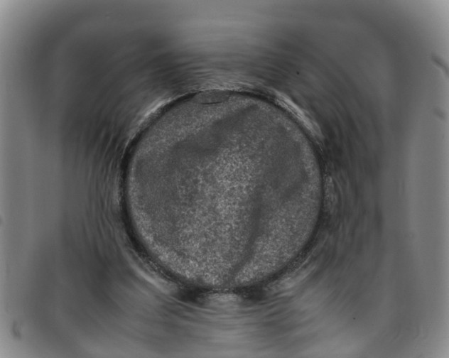 X0000097460203200803141859