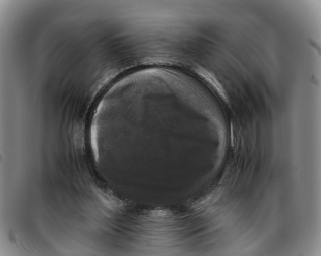 X0000097460204200803141859