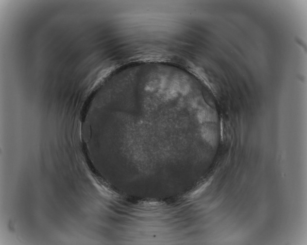 X0000097460205200803141859