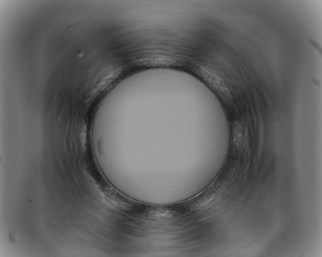 X0000097460206200803141859