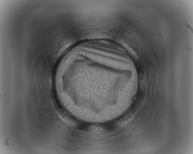 X0000097460207200803141859