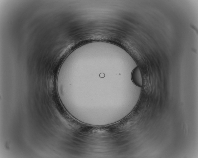 X0000097460208200803141859