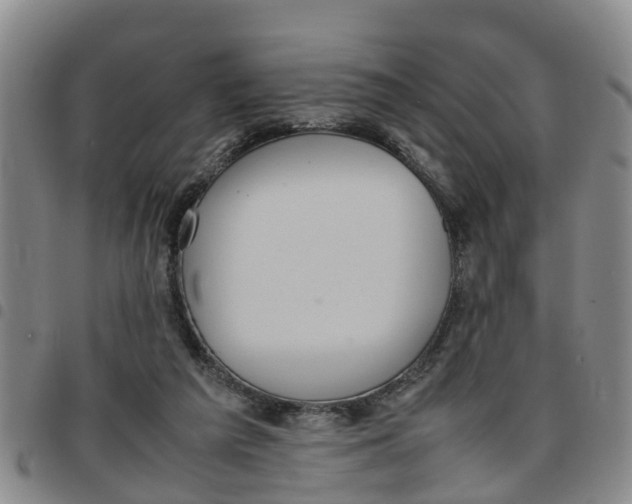 X0000097460209200803141859