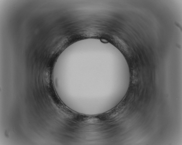 X0000097460210200803141859