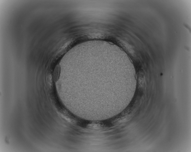 X0000097460211200803141859