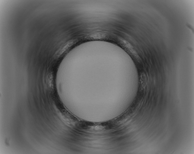 X0000097460212200803141859