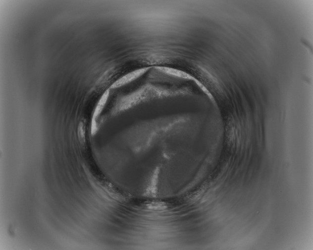 X0000097460214200803141859