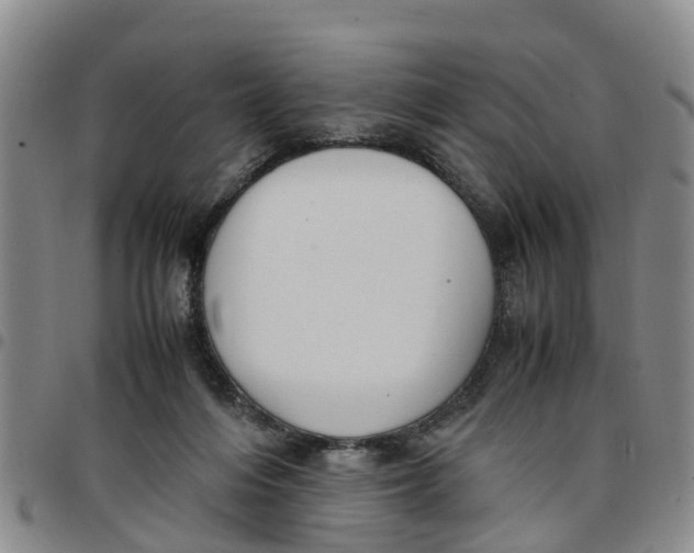 X0000097460216200803141859