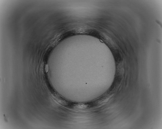 X0000097460217200803141859