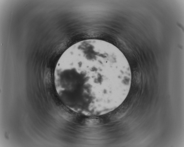 X0000097460220200803141858