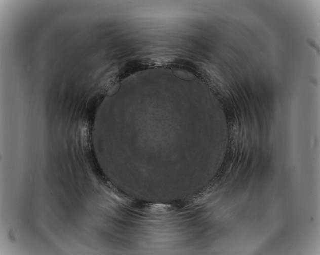 X0000097460222200803141858