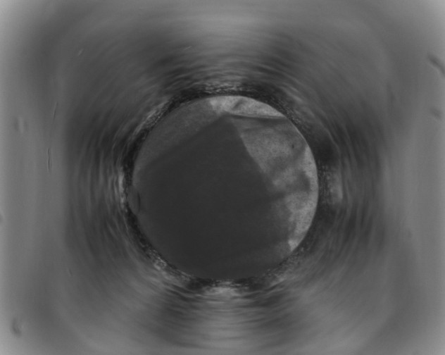 X0000097460224200803141858