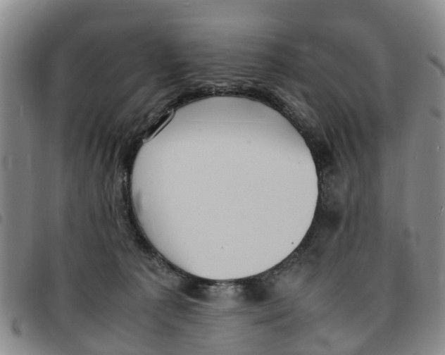 X0000097460225200803141858